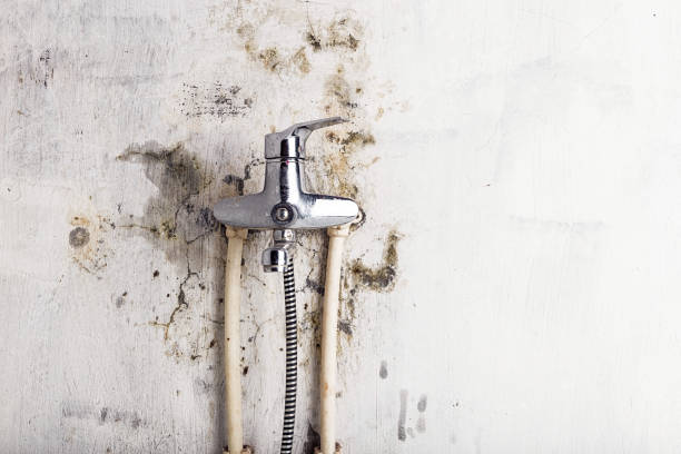 Best Mold Damage Repair  in Tracy, CA