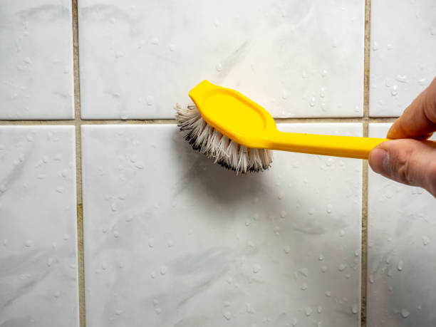 Best Mold Inspection  in Tracy, CA