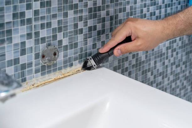 Best Mold Cleaning Services  in Tracy, CA