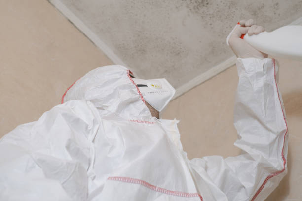 Crawl Space Mold Removal in Tracy, CA