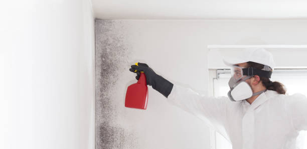 Best Commercial Mold Removal  in Tracy, CA